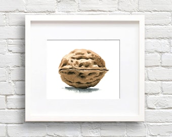 Walnut Art Print - Wall Decor - Watercolor Painting