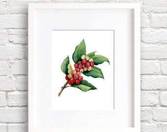 Coffee - Art Print - Kitchen Art - Wall Decor - Watercolor Painting