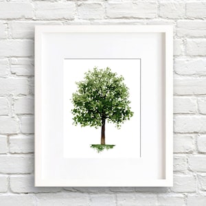 Maple Tree - Art Print - Wall Decor - Watercolor Painting