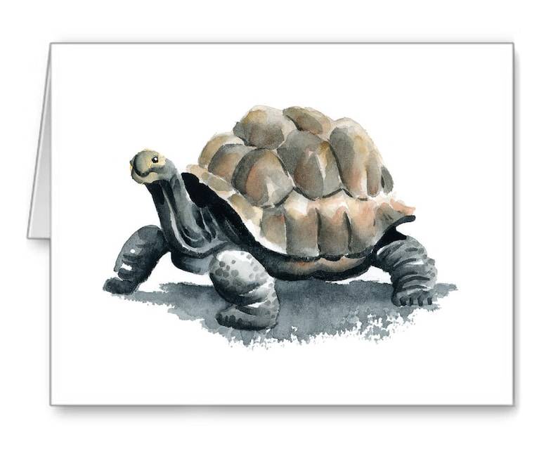 Tortoise Art Print - Animal Art - Wall Decor - Watercolor Painting - Etsy