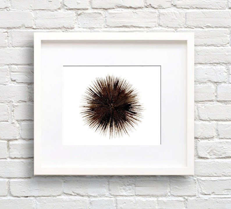 Sea Urchin Art Print Wall Decor Watercolor Painting Etsy