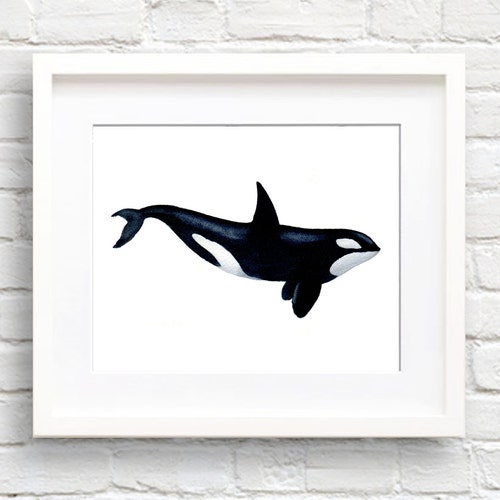 Orca Art Print Nursery Wall Decor Killer Whale Art - Etsy