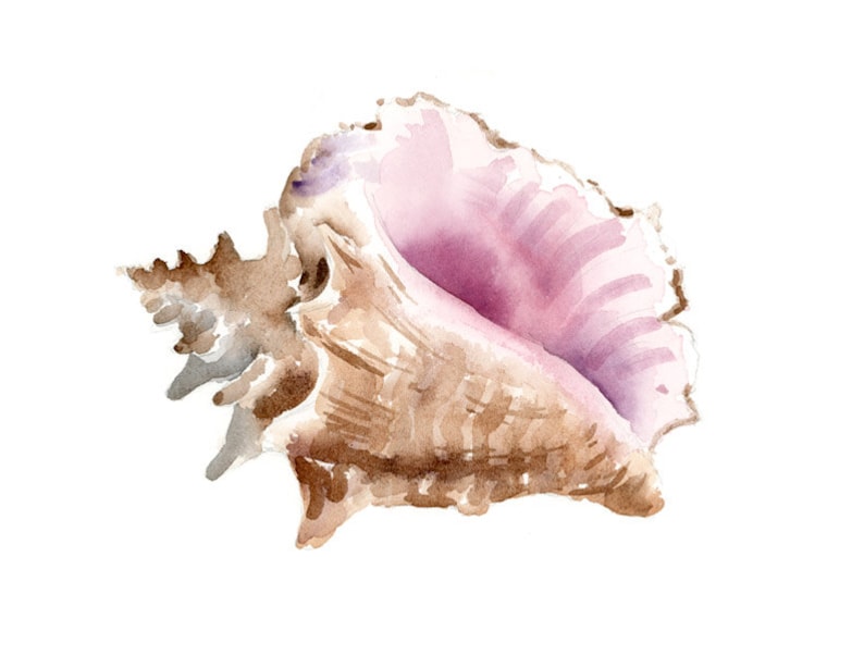 Sea Shell Art Print Bathroom Art Wall Decor Conch Etsy