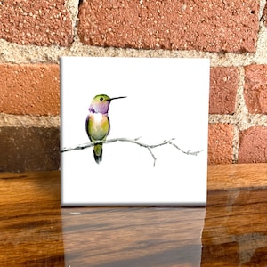Azulejo decorativo de cerámica con colibrí: Arte de aves en acuarela