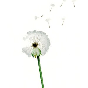 May include: Watercolor painting of a dandelion with seeds blowing away. The dandelion head is white with a dark center, and the stem is green. Delicate seeds float against a white background, creating a sense of lightness.