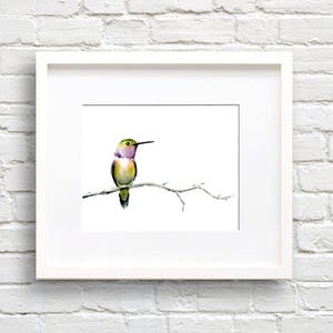 Hummingbird Art Print - Bird - Animal Art - Wall Decor - Watercolor Painting