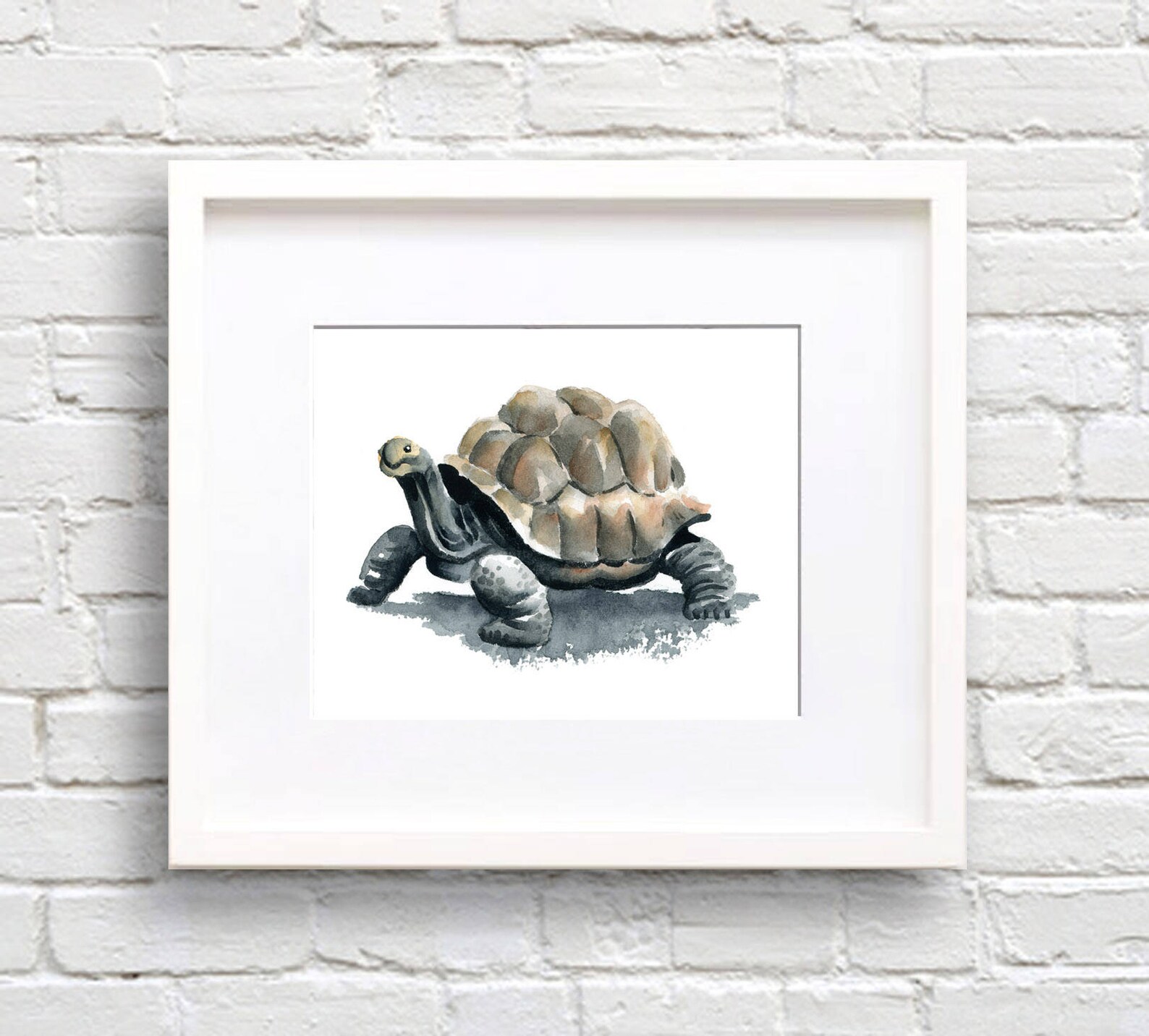 Tortoise Art Print - Animal Art - Wall Decor - Watercolor Painting - Etsy