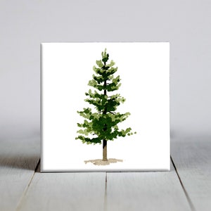 May include: A watercolor painting of a green pine tree on a white background.