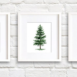 Stampe artistiche di pini - Set di tre - Decorazione da parete - Dipinto ad acquerello