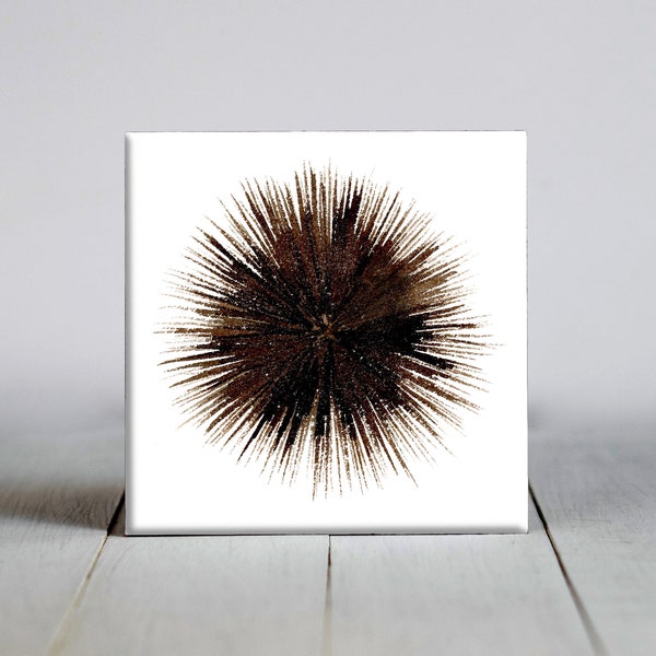 Sea Urchin Ceramic Tile - Sea Urchin Decorative Tile - Animal Lover Gift - Unique Animal Gifts