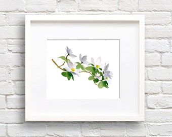 Dogwood Flowers Art Print - Kitchen Wall Decor - Watercolor Painting