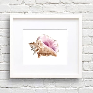 Sea Shell Art Print - Bathroom Art - Wall Decor - Conch Watercolor Painting