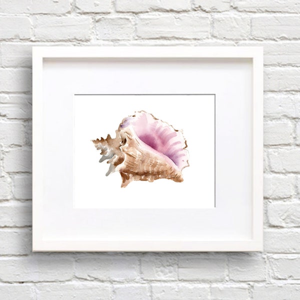 Sea Shell Art Print - Bathroom Art - Wall Decor - Conch Watercolor Painting