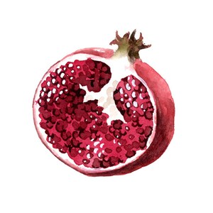 Pomegranate Art Print Kitchen Art Wall Decor Watercolor Painting image 2