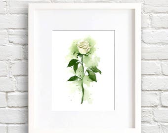 May include: A framed watercolor print of a white rose. The rose is depicted with green leaves and stem against a soft green watercolor background. The artwork is in a white frame, suitable for home decor.
