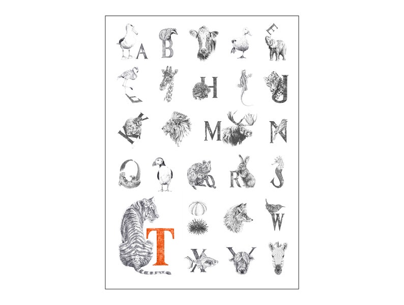 A2 Animal Alphabet Print