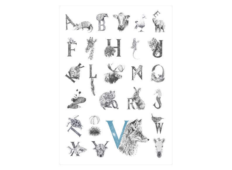 A2 Animal Alphabet Print