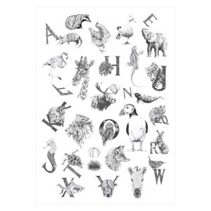 Estampado del alfabeto animal - A2