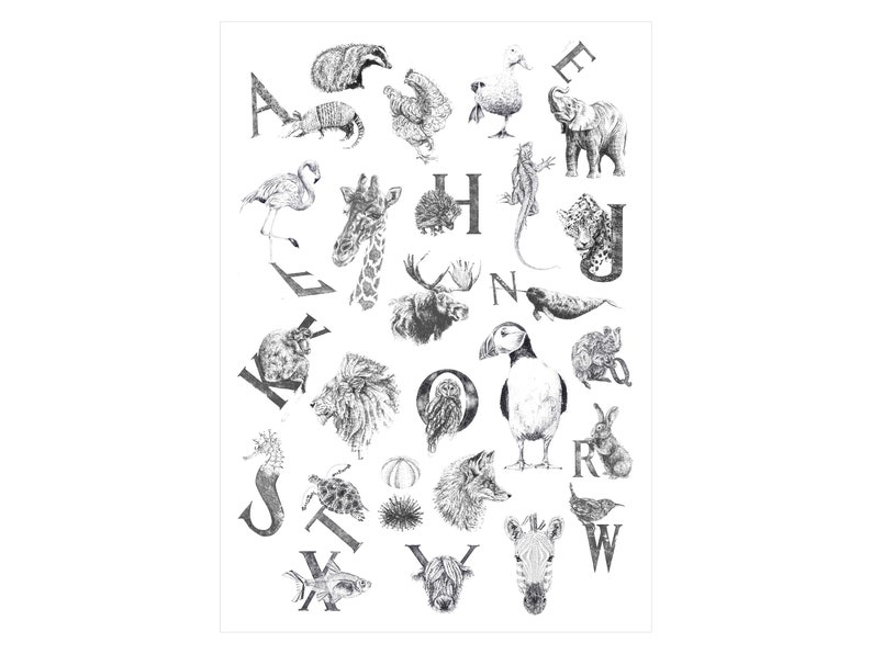 A2 Animal Alphabet Print