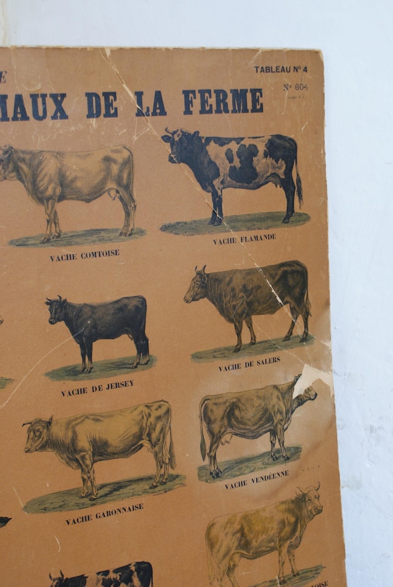 Marcel Broodthaers 'Les Animaux De La Ferme' Poster