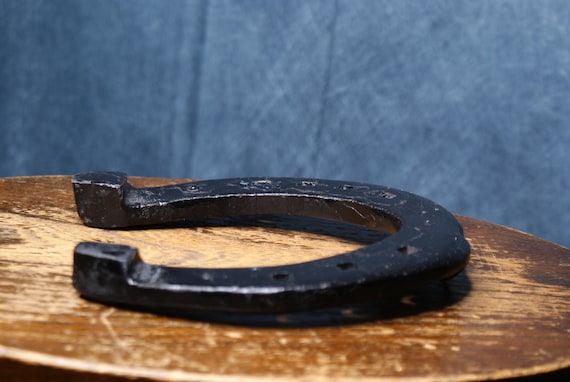 Rustic Lucky Horse Shoe