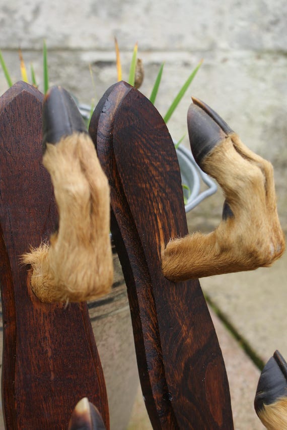 Early 20th Century French Deer Hoof Gun Rack
