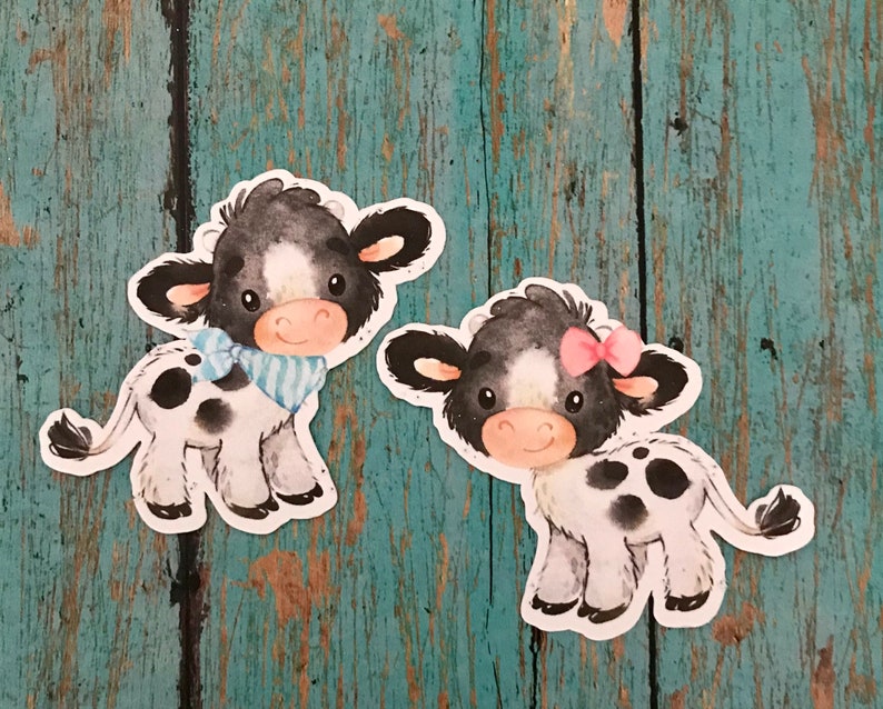 Gender Reveal Cupcake Toppers Cows Boy Cow Girl Cow Cow Etsy