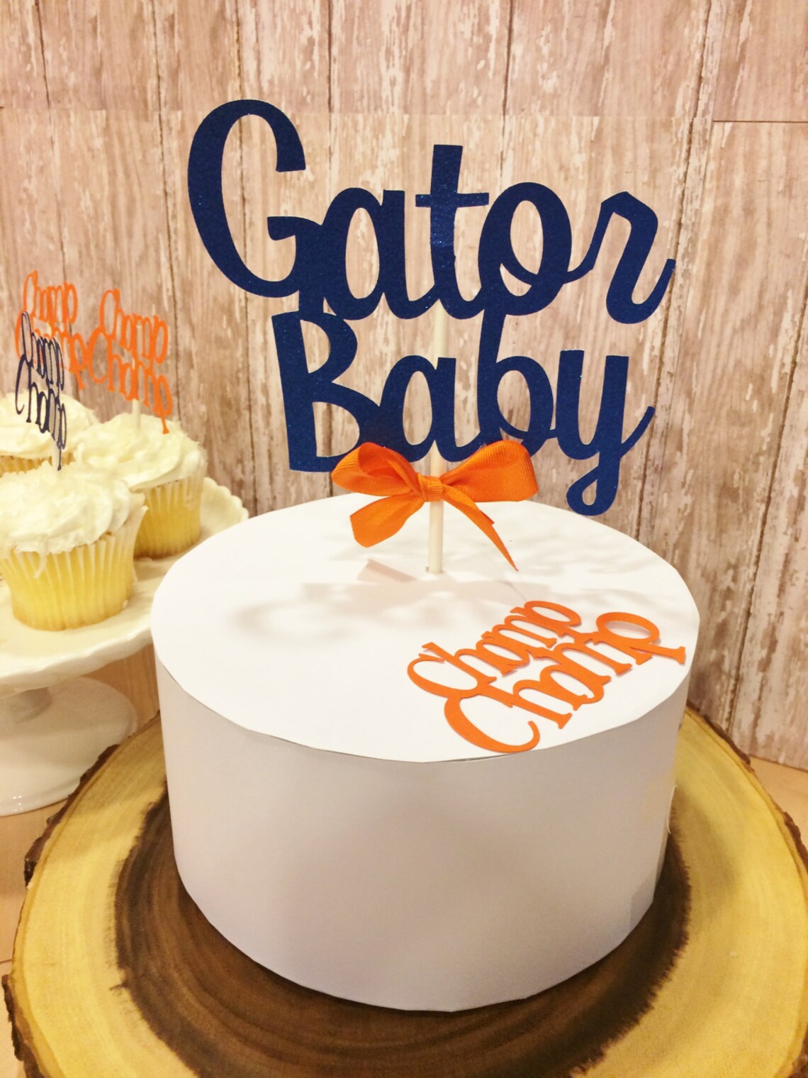 Florida Gator Baby Shower Decorations Florida Gators Cake Etsy