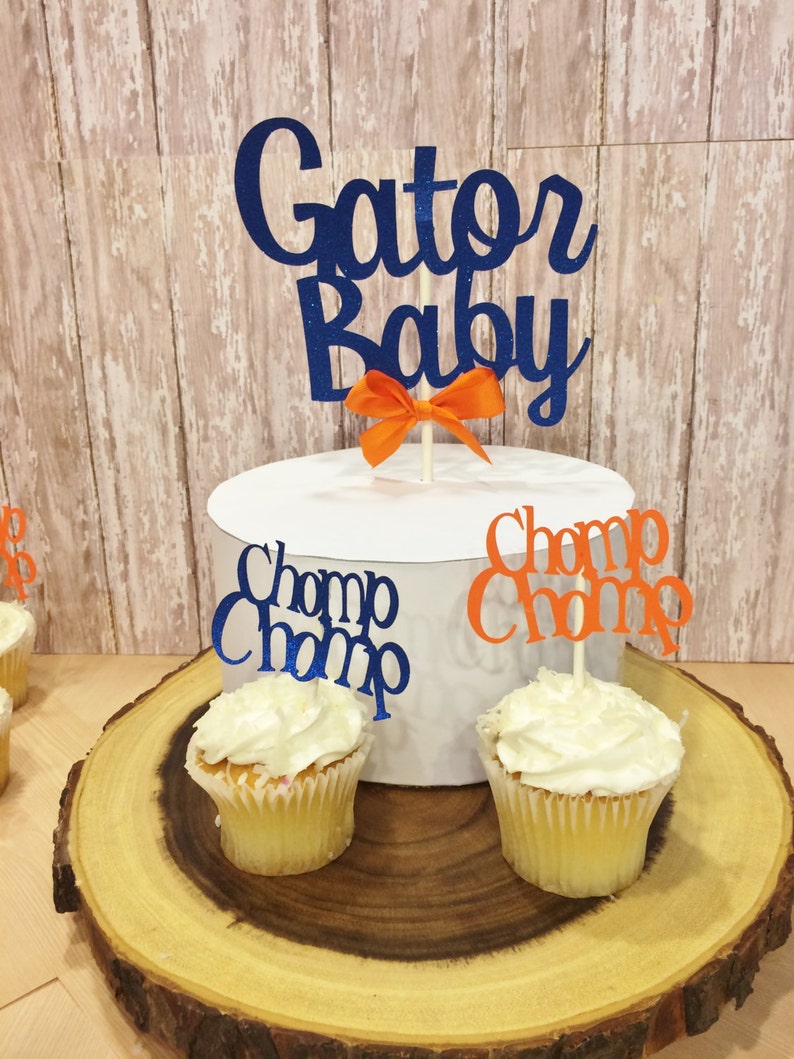 Florida Gator Baby Shower Decorations Florida Gators Cake Etsy