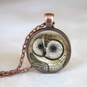 May include: A copper chain necklace with a round glass pendant featuring a vintage illustration of an owl with brown, white, and gray feathers. The owl's eyes are large and black with white rings around them.