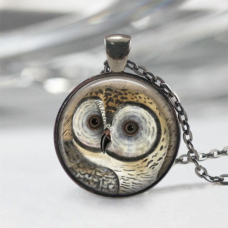 May include: A silver chain necklace with a round glass pendant featuring a detailed illustration of an owl with brown, white, and gray feathers. The owl's eyes are large and brown with white rings around the pupils.