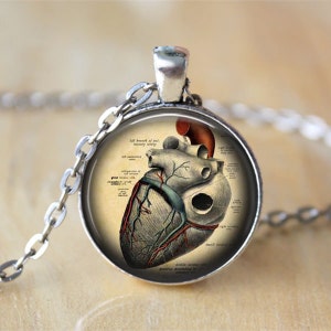 Anatomical Heart Necklace Anatomy Jewelry Heart Pendant Anatomical Heart Jewelry Anatomy Pendant Gift For Her