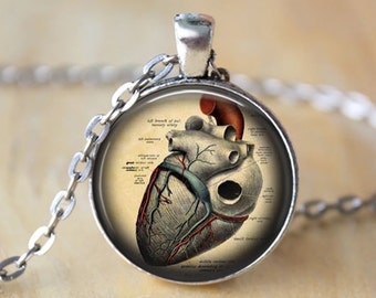 Anatomical Heart Necklace Anatomy Jewelry Heart Pendant Anatomical Heart Jewelry Anatomy Pendant Gift For Her