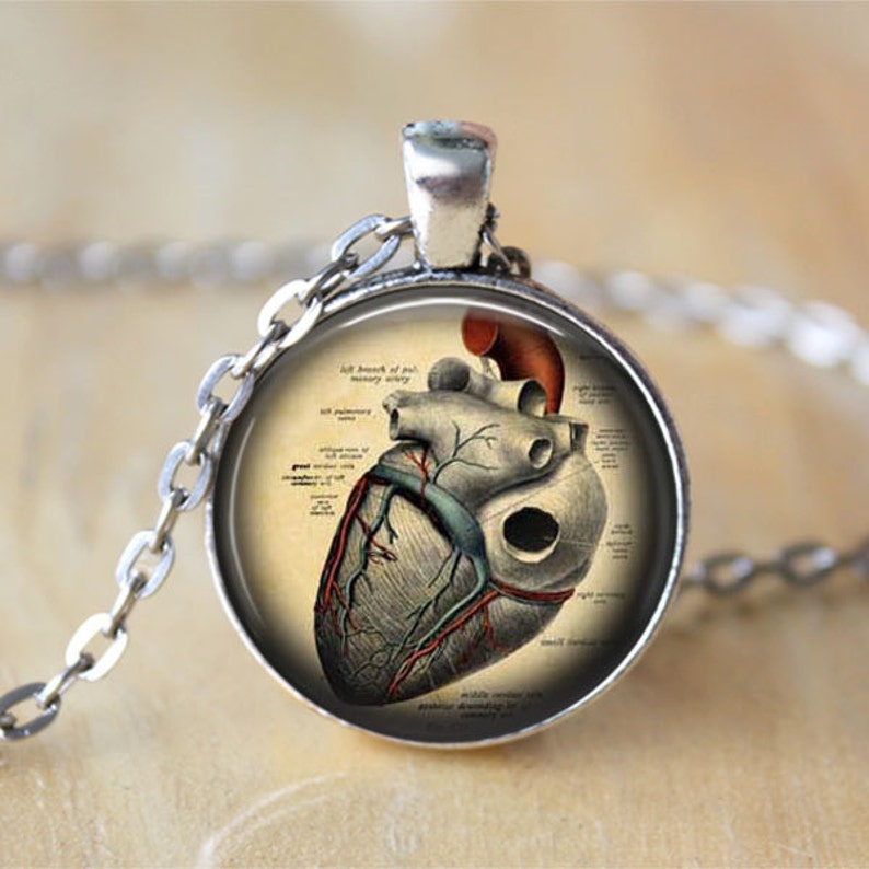 Anatomisches Herz Halskette Anatomie Schmuck Herz Anhänger anatomisches Herz Schmuck Anatomie Anhänger Geschenk für Sie Bild 1