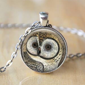 May include: A silver chain necklace with a round glass pendant featuring a detailed illustration of an owl with brown, white, and black feathers. The owl's eyes are large and brown.