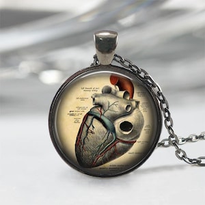 Anatomisches Herz Halskette Anatomie Schmuck Herz Anhänger anatomisches Herz Schmuck Anatomie Anhänger Geschenk für Sie Bild 3