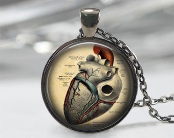 Anatomical Heart Necklace Anatomy Jewelry Heart Pendant Anatomical Heart Jewelry Anatomy Pendant Gift For Her