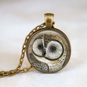 May include: A gold chain necklace with a round glass pendant featuring a detailed illustration of an owl with large eyes. The owl is depicted in shades of brown, white, and gray against a background of faded text.