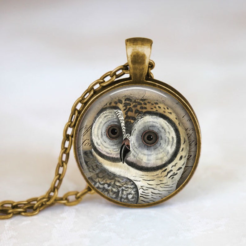 May include: A gold chain necklace with a round glass pendant featuring a detailed illustration of an owl with large eyes. The owl is depicted in shades of brown, white, and gray against a background of faded text.