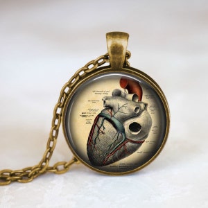 Anatomisches Herz Halskette Anatomie Schmuck Herz Anhänger anatomisches Herz Schmuck Anatomie Anhänger Geschenk für Sie Bild 2