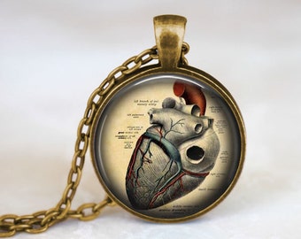 Anatomical Heart Necklace Anatomy Jewelry Heart Pendant Anatomical Heart Jewelry Anatomy Pendant Gift For Her