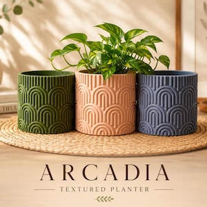 May include: Three cylindrical planters in olive green, soft peach, and slate blue, each featuring a raised, repeating arch pattern. The planters are arranged in a row, with a green leafy plant placed inside the center peach-colored container.