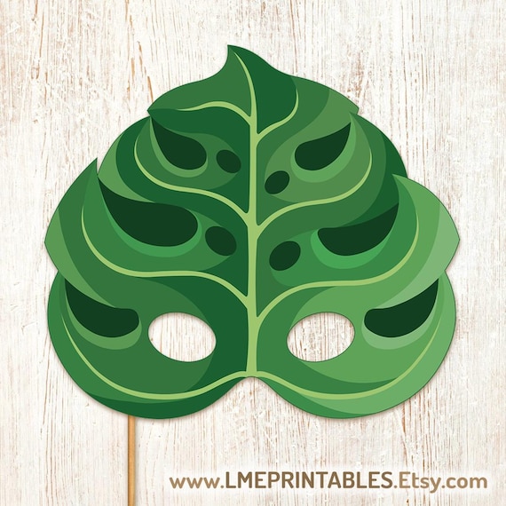 monstera wuchs Fensterblatt (Monstera) XXL-Größe kaufen