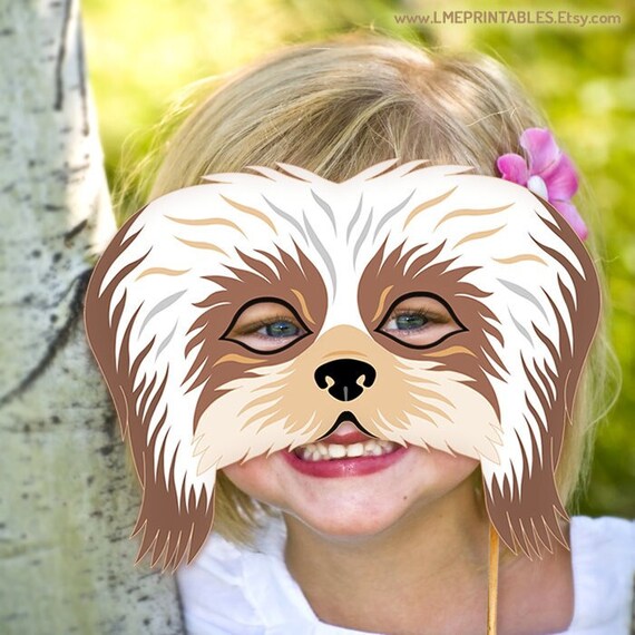 Shih tzu clearance costume