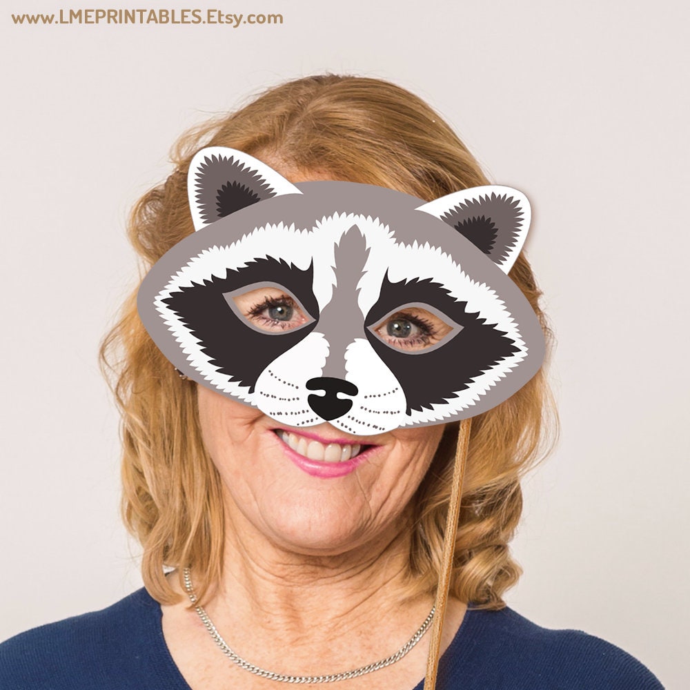 Homemade Raccoon Costume