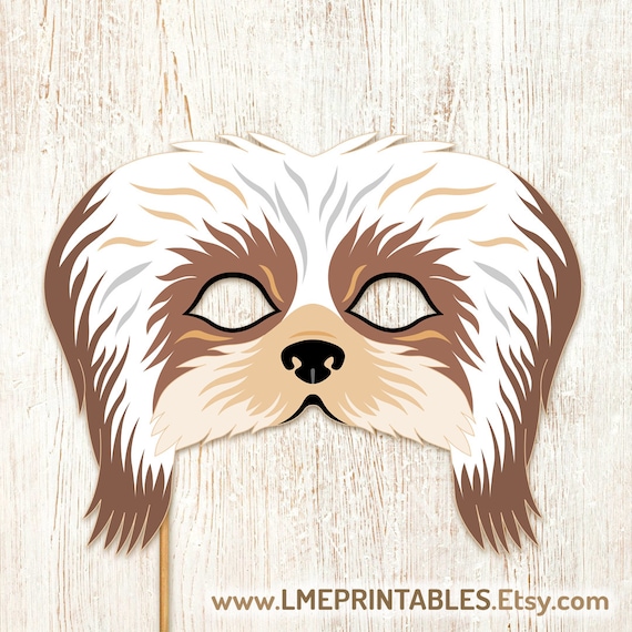 Peggy, Il Cane Considerato Il Pi&ugrave; Brutto Del Regno Unito | Sky