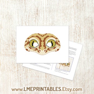 Gecko Printable Mask DIY Halloween Costume Reptile Lizard Animal Masks ...