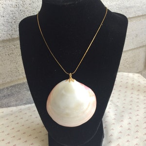 Beautiful Shell Necklace, seashell necklace, ocean theme necklace