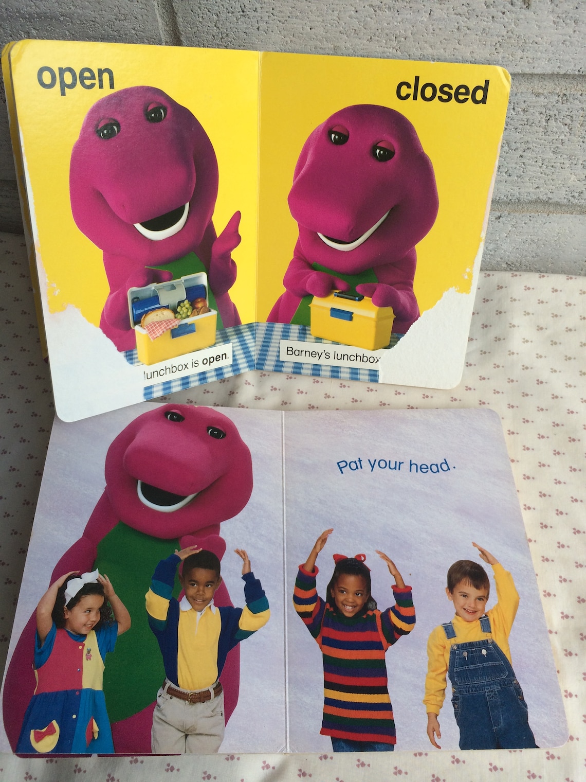 Barney's book of Opposites Barney Plays Nose to Toes  Etsy
