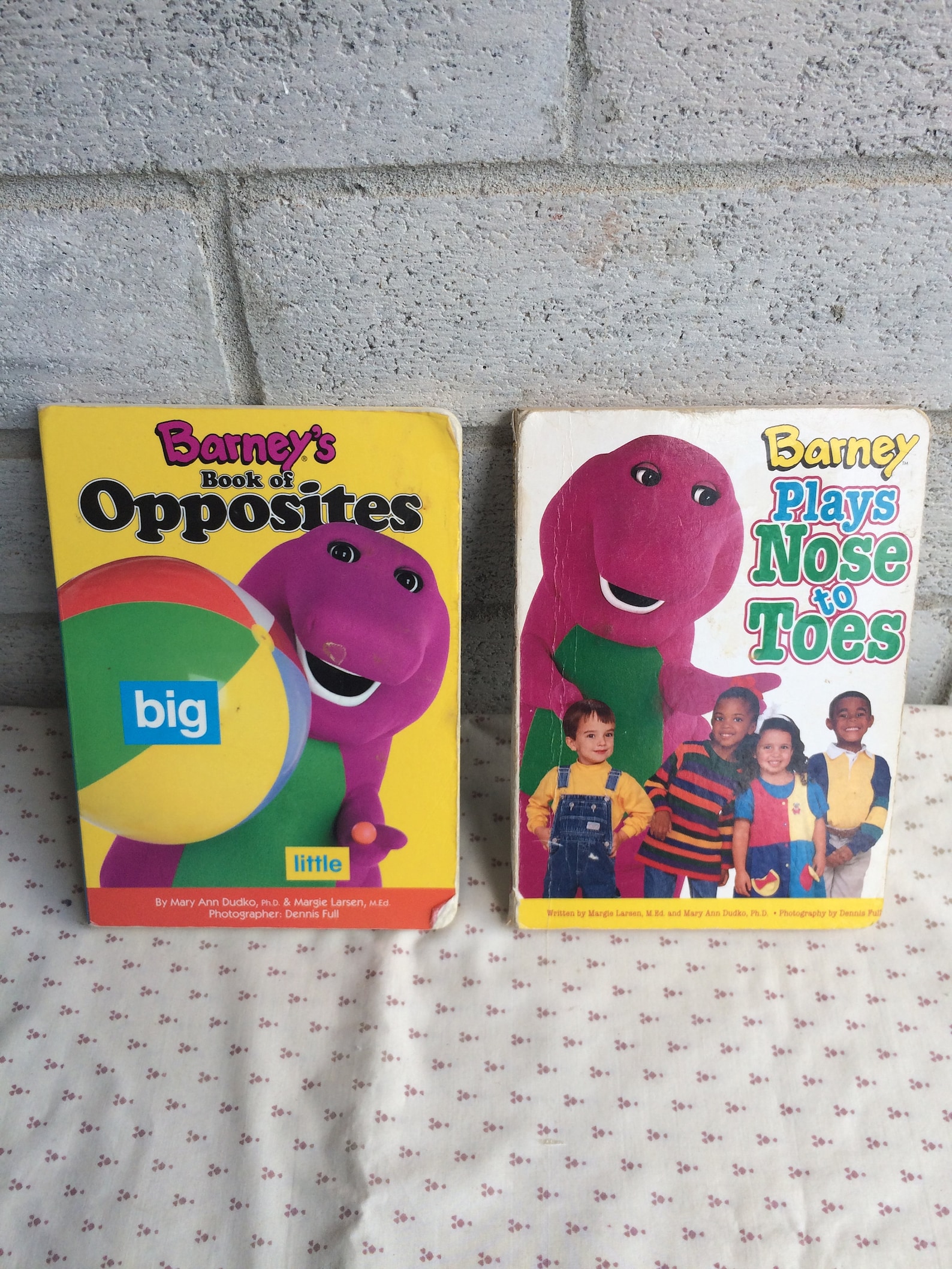Barney's book of Opposites Barney Plays Nose to Toes  Etsy